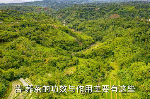 富力硒加苦荞茶（富硒苦荞茶哪个牌子好）-硒宝网