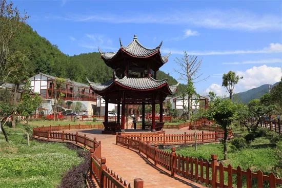 达州万源富硒茶(万源富硒茶厂及电话)-硒宝网