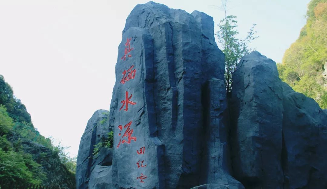 富硒茶好不好泡(富硒水泡茶好吗)-硒宝网