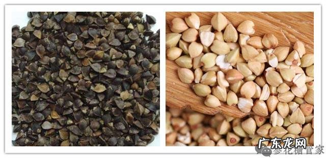 三降富硒苦荞茶(富硒苦荞茶的副作用)-硒宝网