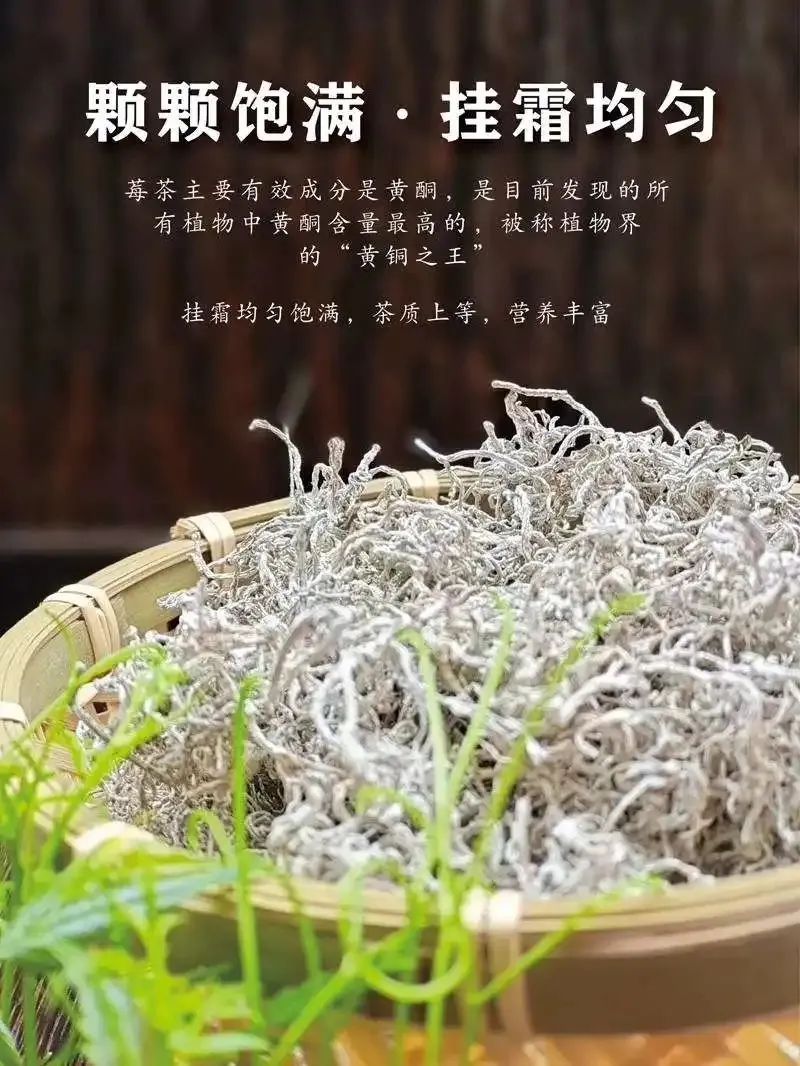 张家界富硒霉茶（张家界莓茶多少钱一盒）-硒宝网