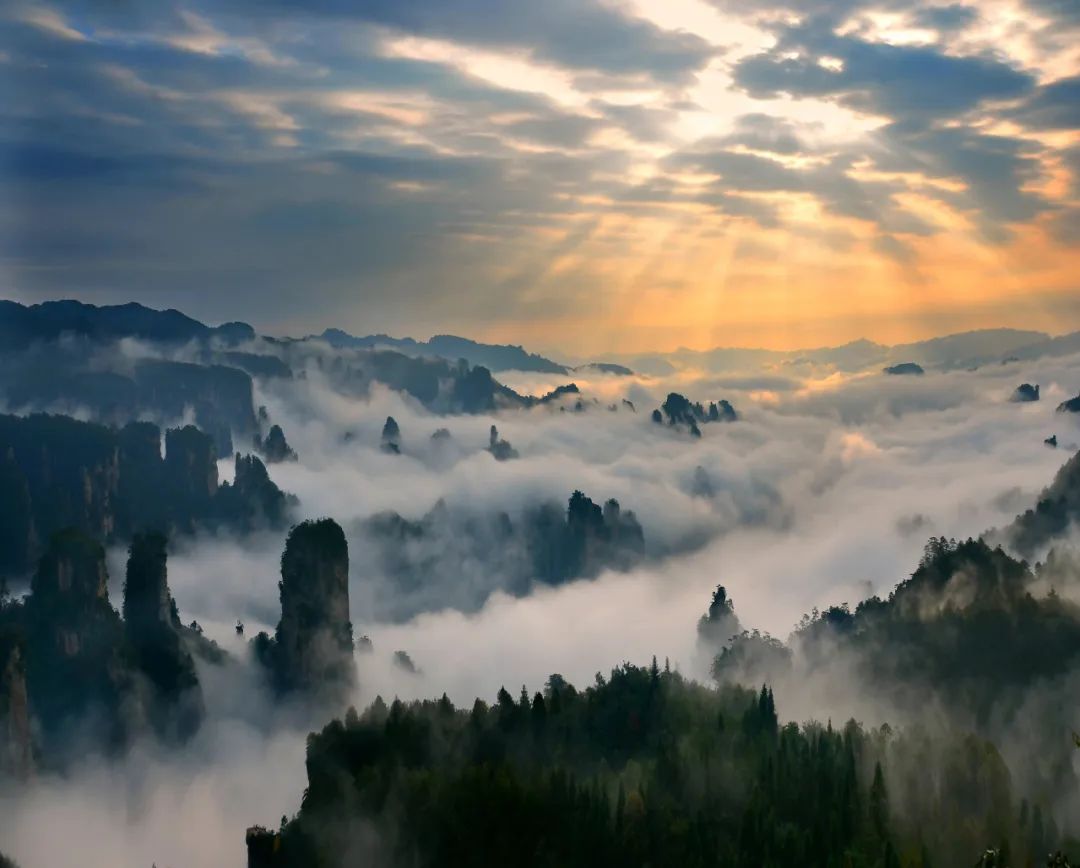 张家界富硒霉茶（张家界莓茶多少钱一盒）-硒宝网