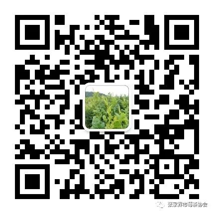 张家界富硒霉茶(张家界莓茶生产企业)-硒宝网