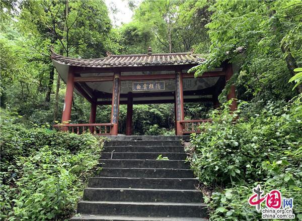 徽百年富硒野茶（徽百年茶叶法人）-硒宝网