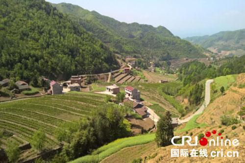 京康富硒茶百度(京康茶叶)-硒宝网