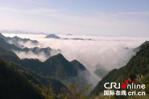 京康富硒茶百度(京康茶叶)-硒宝网