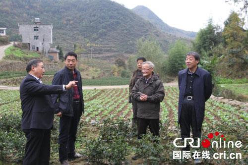 京康富硒茶百度(京康茶叶)-硒宝网