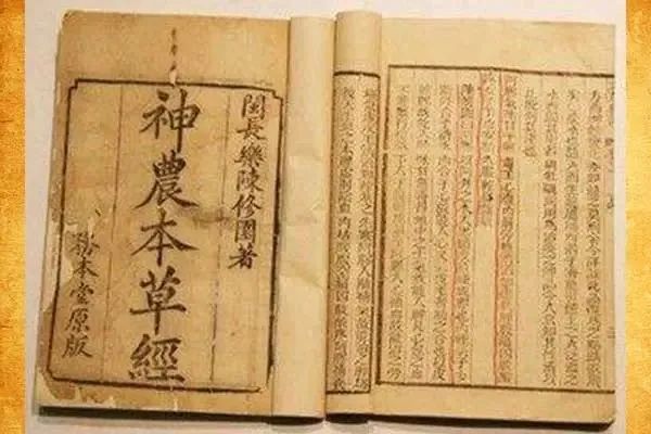 富硒百年古树茶（百年古树茶多少钱一斤）-硒宝网