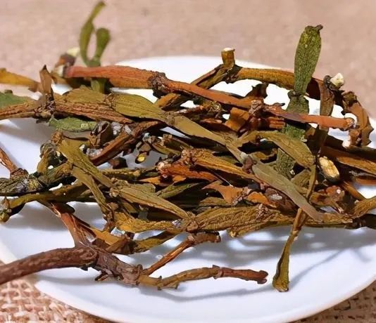 富硒百年古树茶（百年古树茶多少钱一斤）-硒宝网