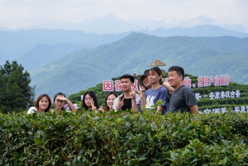 千年富硒老葛茶(富硒葛根固体饮料)-硒宝网