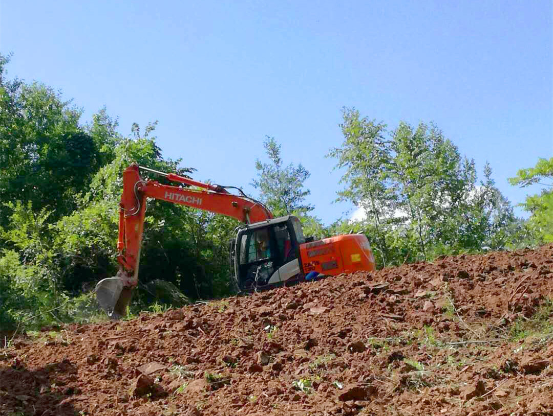 万源草坝富硒茶（万源富硒茶多少钱一斤）-硒宝网