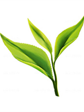 富硒茶四大美女(富硒茶优点)-硒宝网