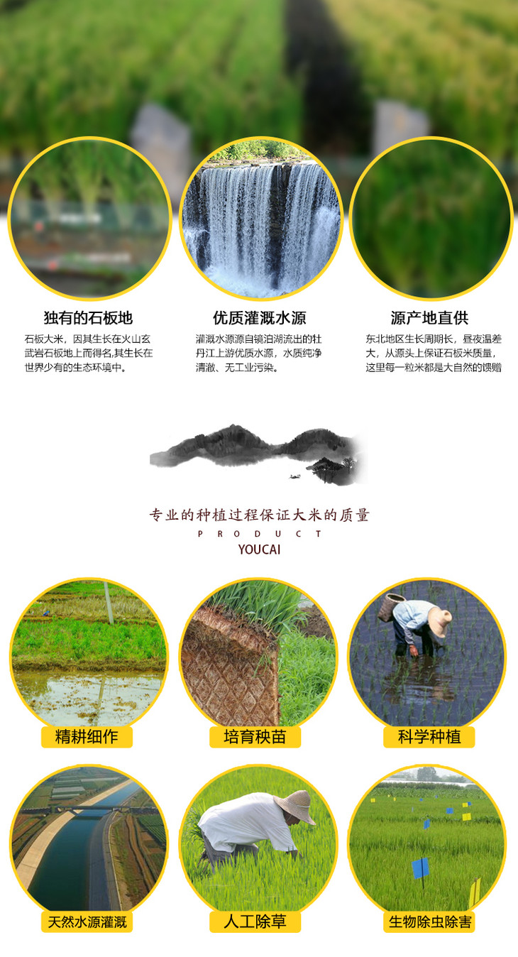 富硒大米大米姐(大米姐富硒米价格)-硒宝网