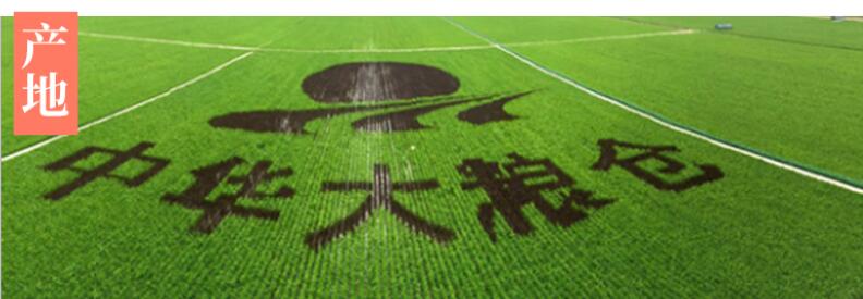 富硒大米的功效(大米功效富硒含量)-硒宝网