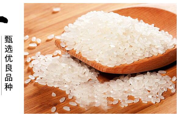 富硒大米的功效(大米功效富硒含量)-硒宝网