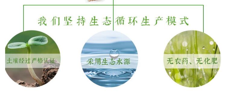 富硒大米的功效(大米功效富硒含量)-硒宝网