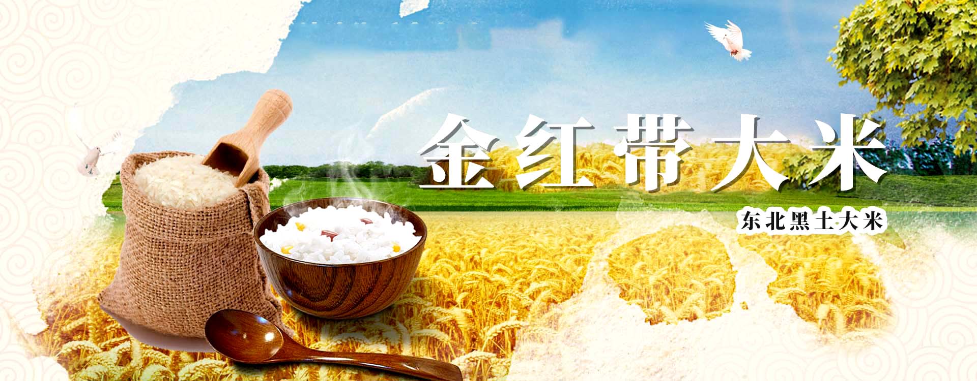 富硒大米的功效(大米功效富硒含量)-硒宝网