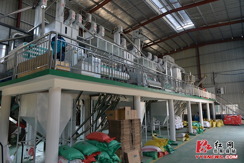 富硒大米 销售(富硒大米市场分析)-硒宝网