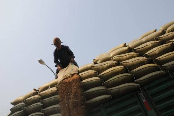 富硒大米包邮嘛(据报道富硒大米有多种保健功能)-硒宝网