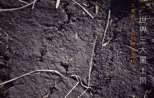 富硒大米包邮嘛(据报道富硒大米有多种保健功能)-硒宝网