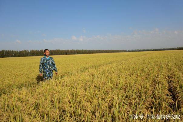 宝清县富硒大米（富硒大米的作用与功效）-硒宝网