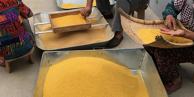 富硒大米酒内供(富硒大米酒价格)-硒宝网