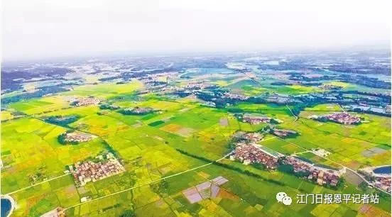 恩平市富硒大米（富硒大米市场前景）-硒宝网