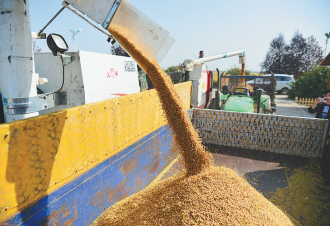 社溪镇富硒大米(施州富硒大米)-硒宝网