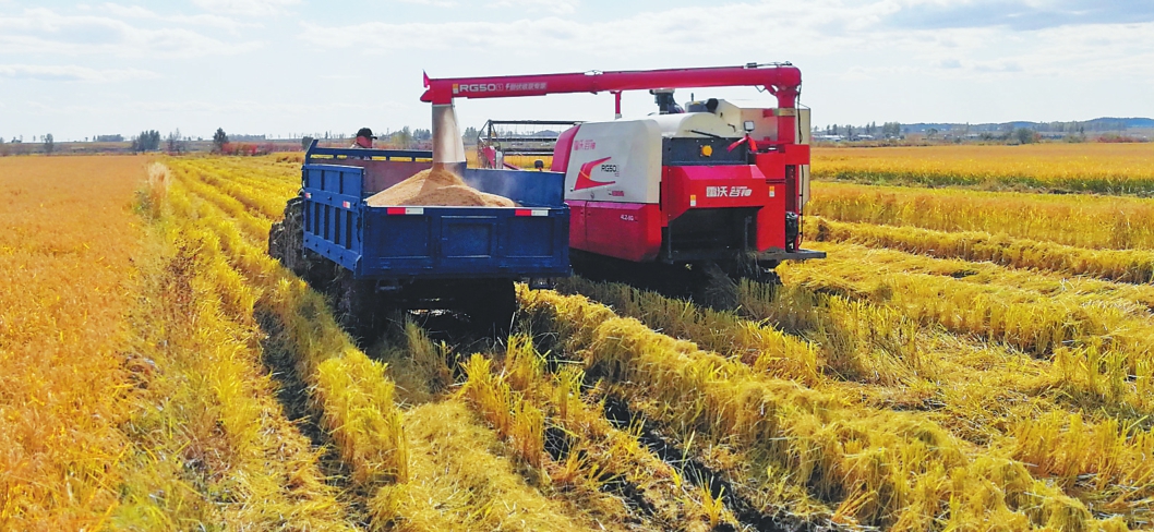 社溪镇富硒大米(施州富硒大米)-硒宝网