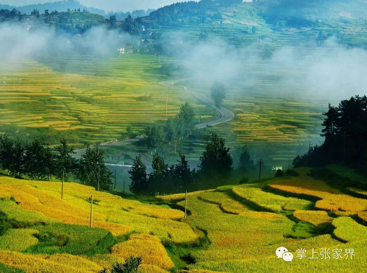 张家界富硒大米（张家界大米厂）-硒宝网