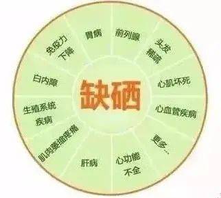 富硒大米富硒油（富硒稻米油）-硒宝网