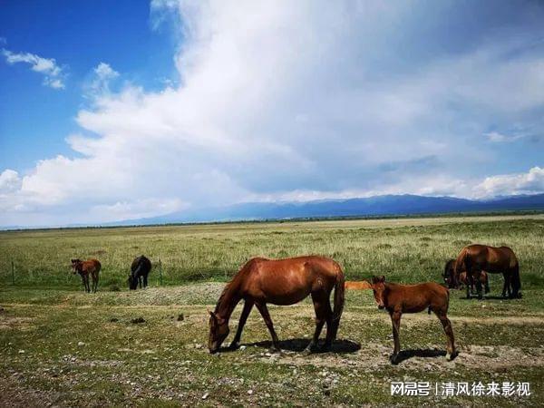 富硒大米酒内供（富硒大米能补硒吗）-硒宝网