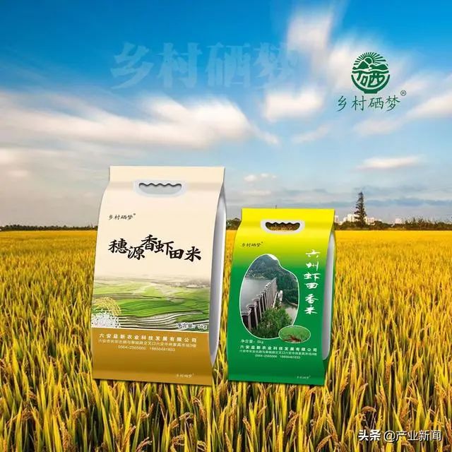 五常大米富硒型(大米五常型富硒含量多少)-硒宝网