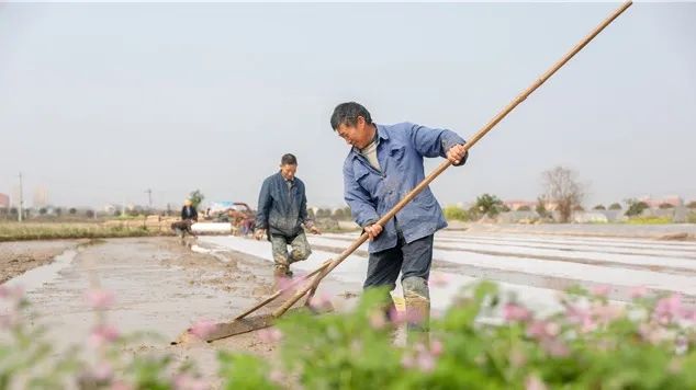 丰祥富硒泰大米（富硒大米logo）-硒宝网