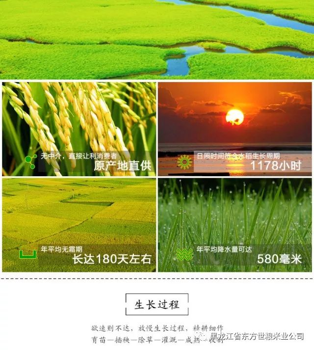 五常大米富硒型(大米五常型富硒品种)-硒宝网