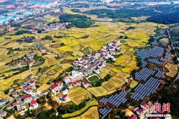 硒姐姐富硒大米(大米姐富硒米多少钱一斤)-硒宝网