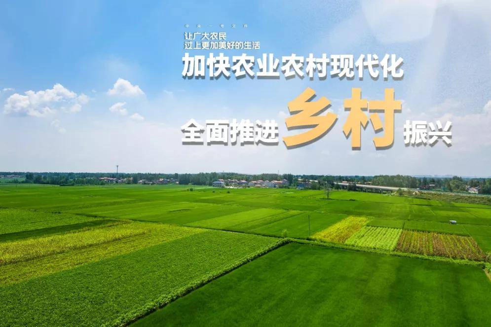 硒姐姐富硒大米(大米姐富硒米多少钱一斤)-硒宝网