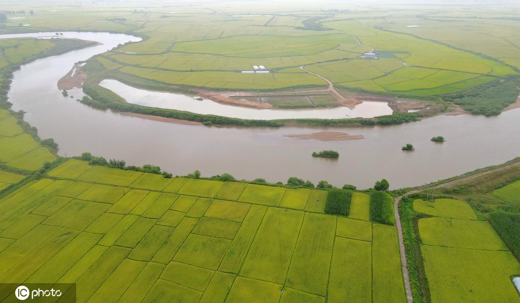 庆安大米 富硒（富硒大米多少钱一公斤）-硒宝网