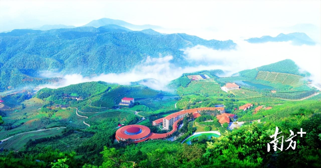 富硒大米 梅州（广东富硒大米企业）-硒宝网