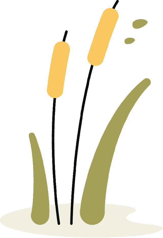 富硒大米 生态(大米生态富硒含量)-硒宝网