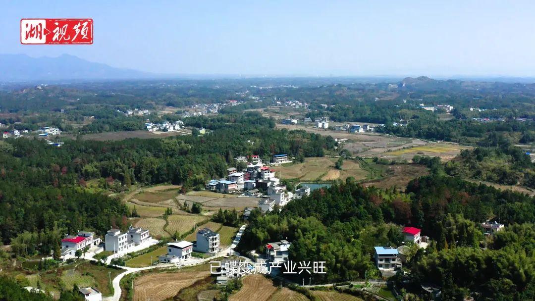 湖北 富硒大米(富硒大米厂家)-硒宝网