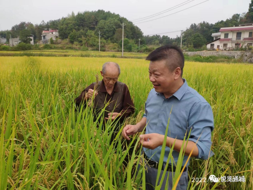 湖北 富硒大米(富硒大米厂家)-硒宝网
