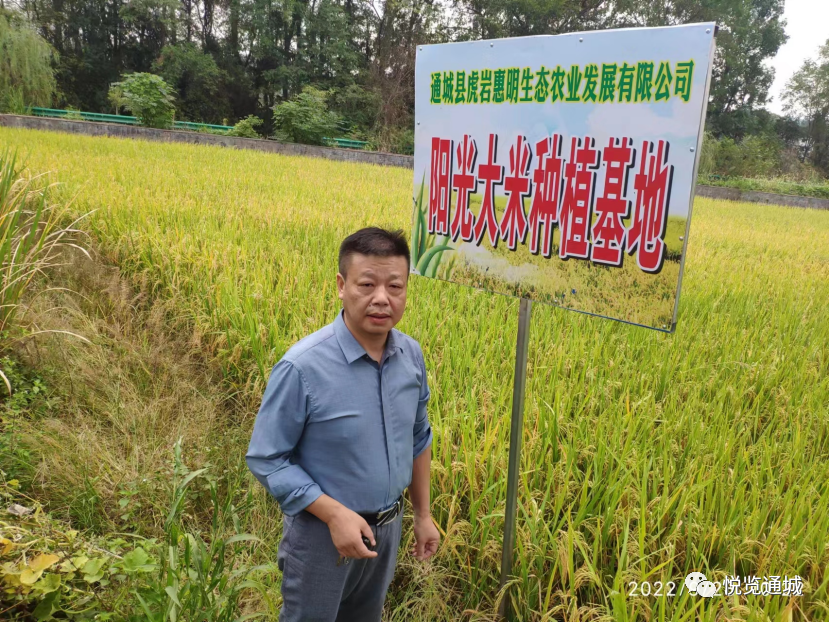 湖北 富硒大米(富硒大米厂家)-硒宝网