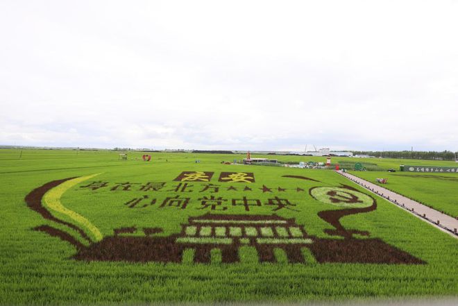庆安大米 富硒（富硒大米好吗）-硒宝网