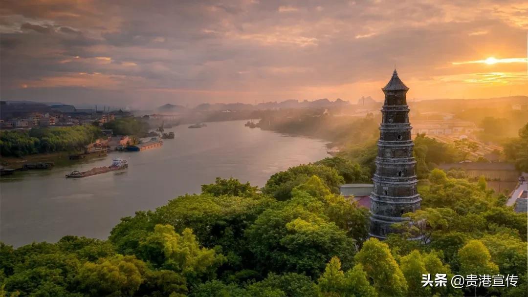 富硒大米 贵港(广西富硒米价格)-硒宝网