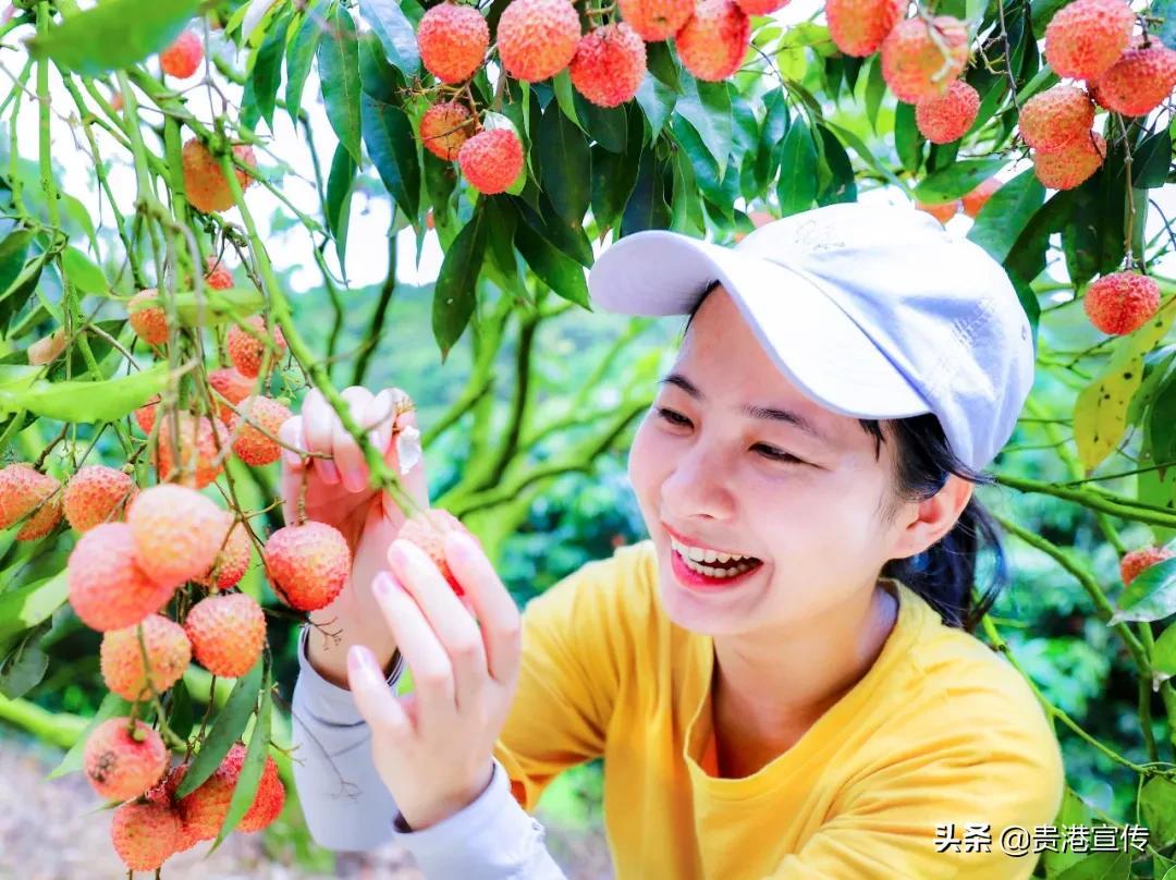 富硒大米 贵港(广西富硒米价格)-硒宝网
