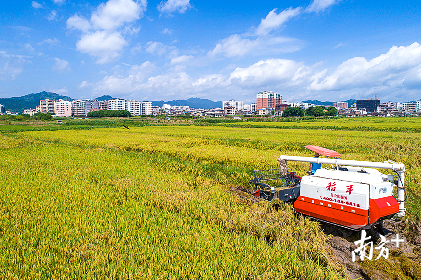 富硒大米 梅州(富硒大米原产地在哪里)-硒宝网