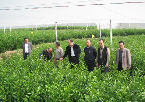 东兰县富硒大米（安东富硒大米）-硒宝网