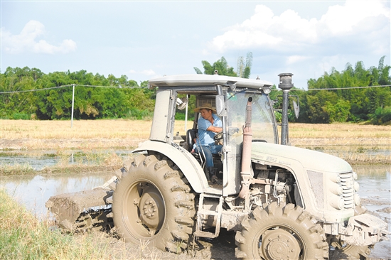 恩平市富硒大米（恩施富硒米多少钱一斤）-硒宝网