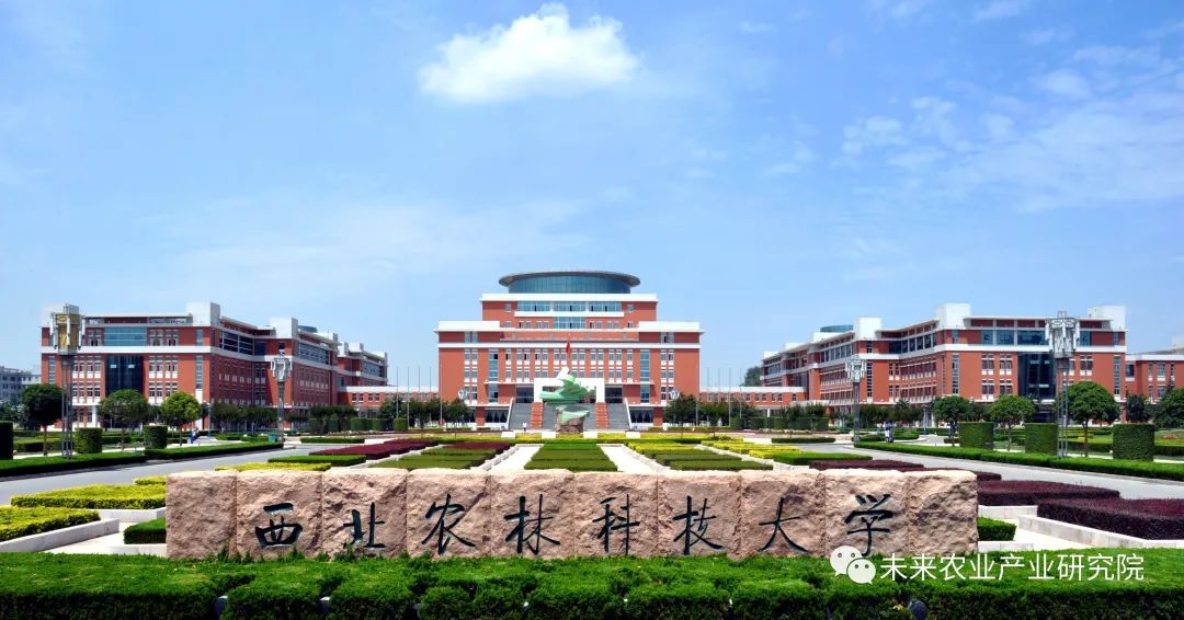 富硒大米佳木斯(佳木斯大米的价格是多少)-硒宝网